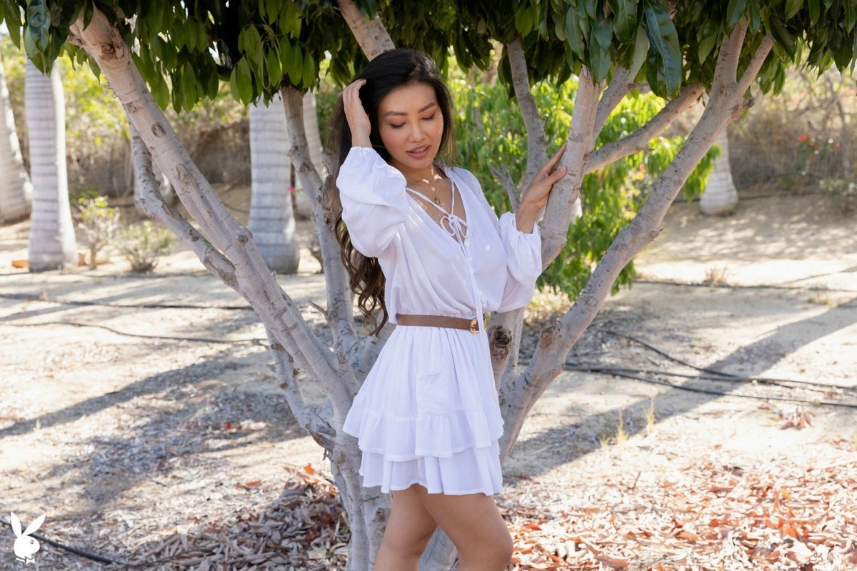 La Escalera Del Clímax